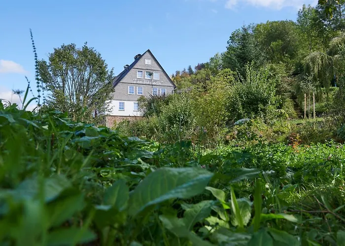 The Conscious Farmer Bed&Breakfast Sauerland Willingen 